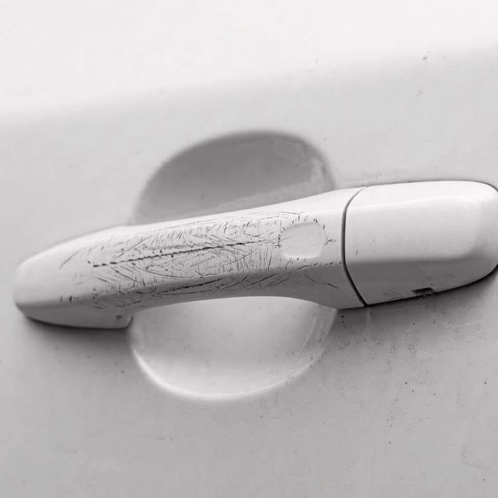 NanoPolix image